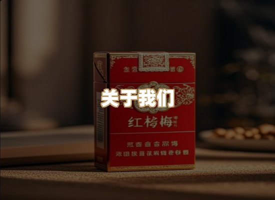 关于朗雅香烟网